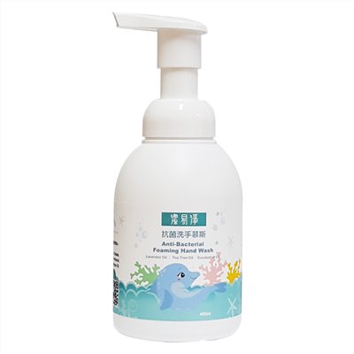 潔易淨抗菌洗手慕斯400ml